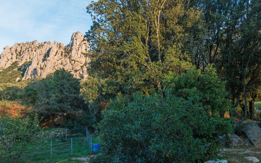 Casa Vacanze San Pantaleo Villa Buitenkant foto